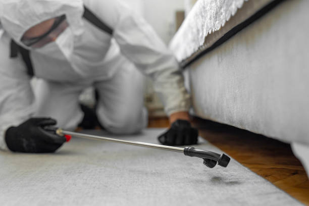 Professional Pest Control technician working in Arkansas, AR